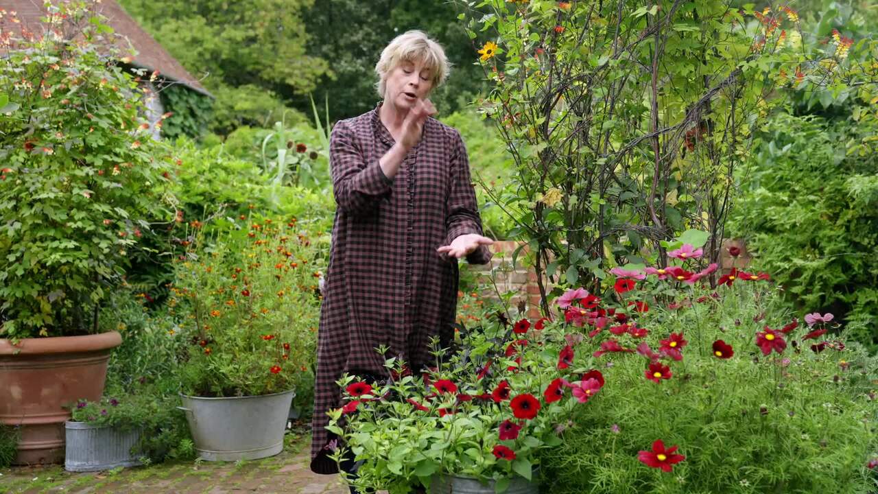 Dark and rich pot recipes