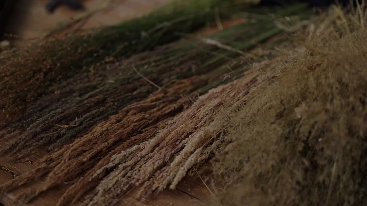 What flowers to dry - Part 5: Grasses