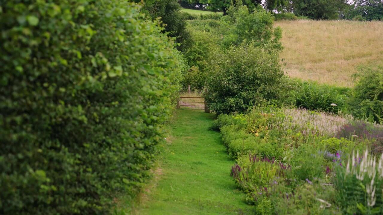 The boundary hedge