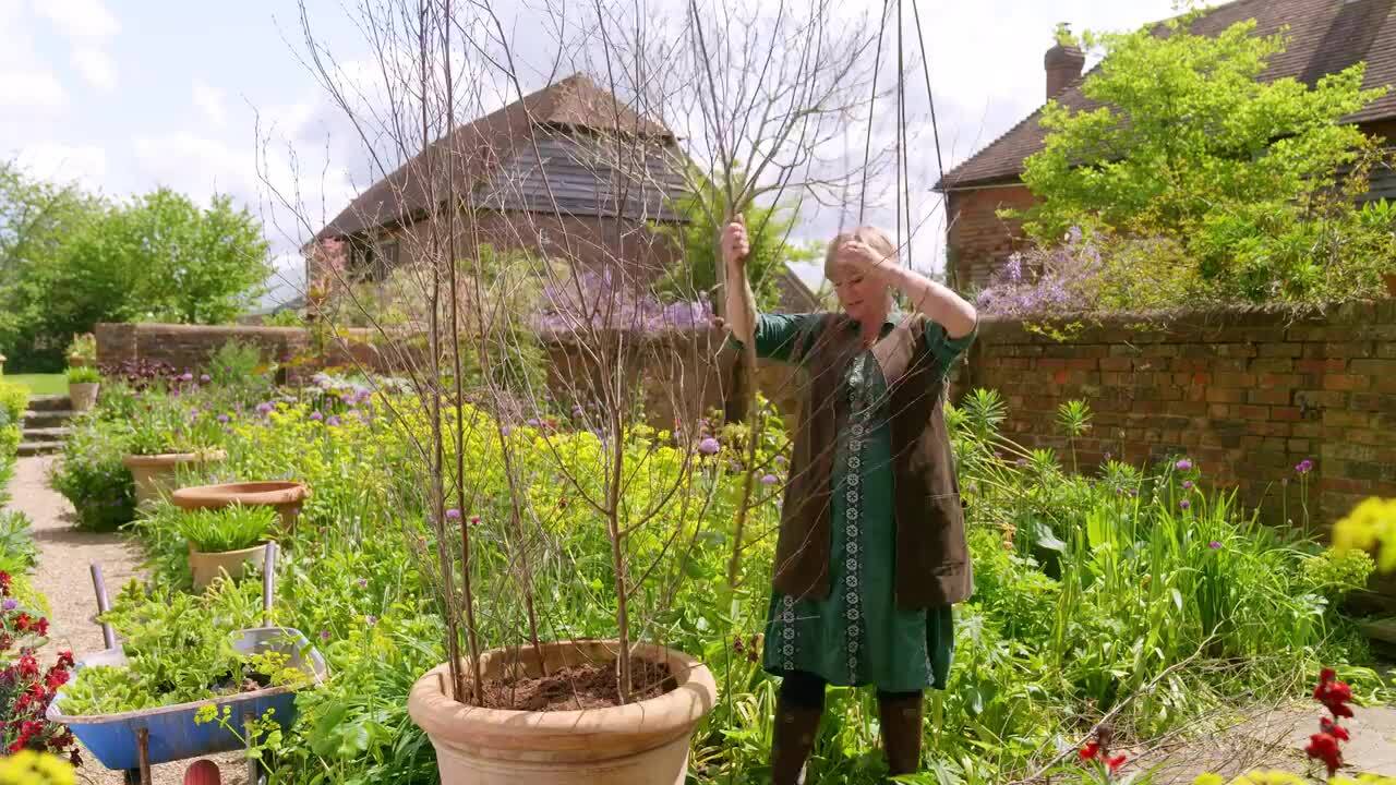 Planting a whopper pot for summer