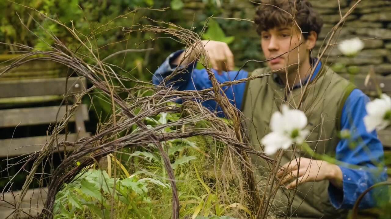 A bulb lasagne - part 7: silver birch parrot cage