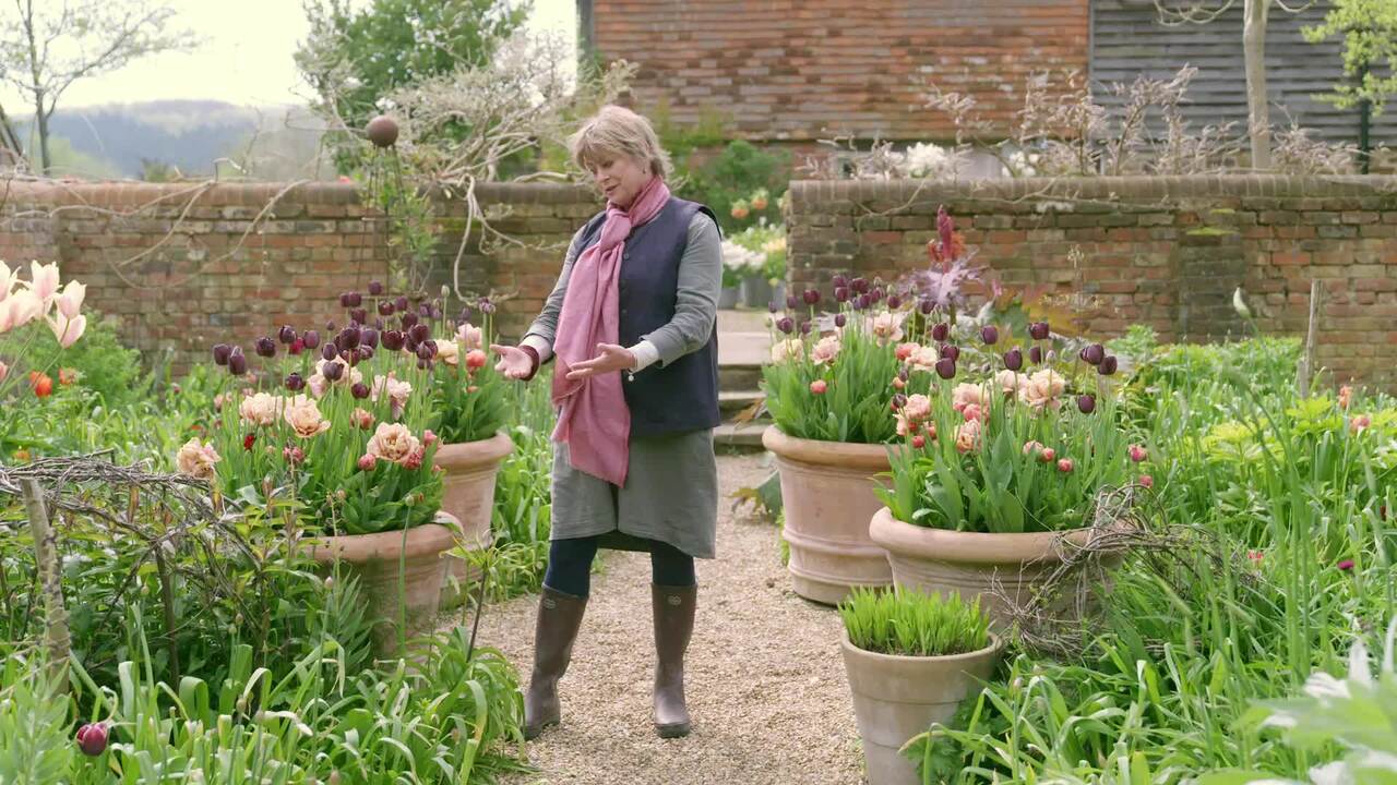 Whopper pots in spring bloom - soft and warm palette