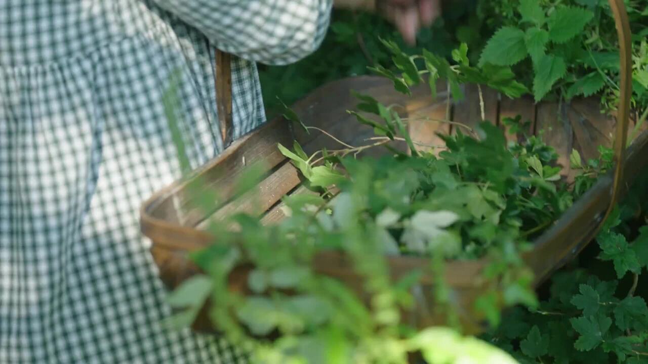 Finding inspiration in the landscape - Part 2