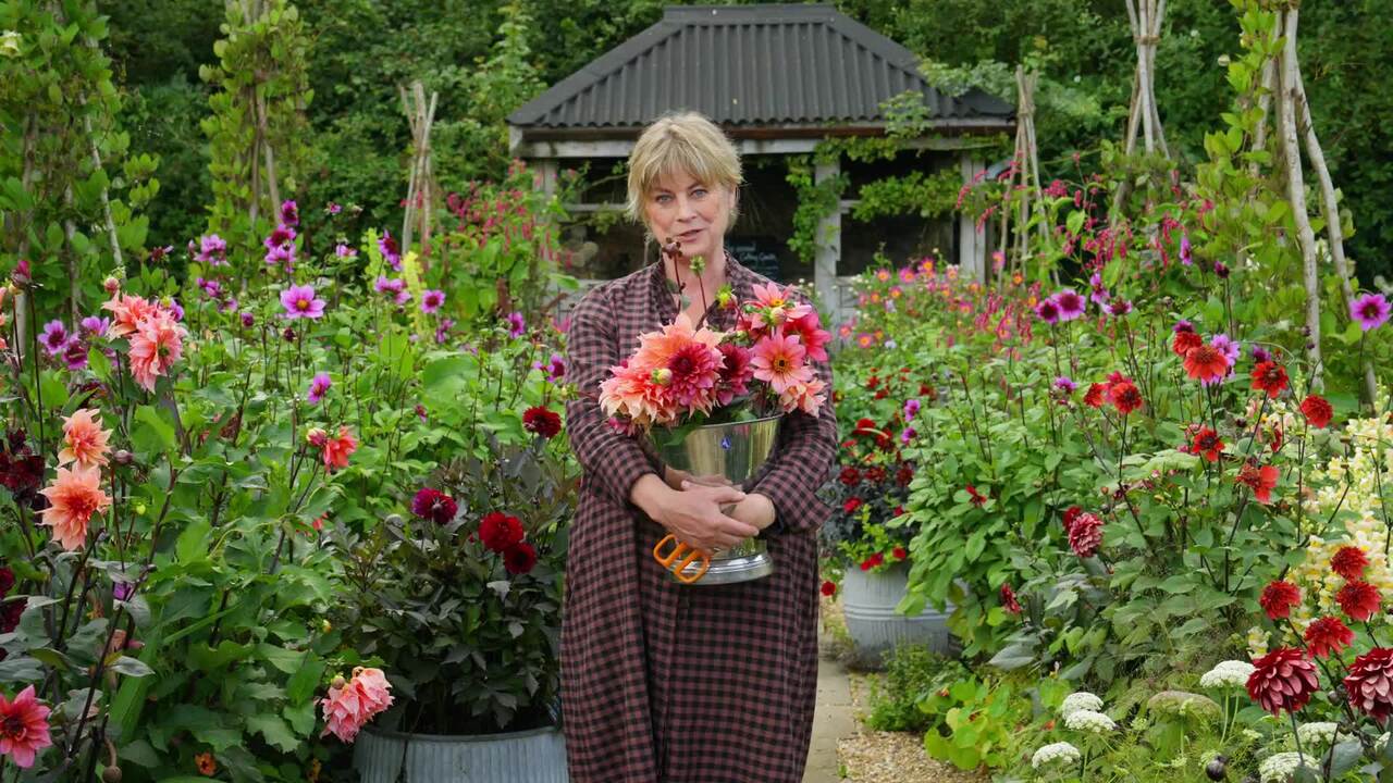 The end of the growing season 