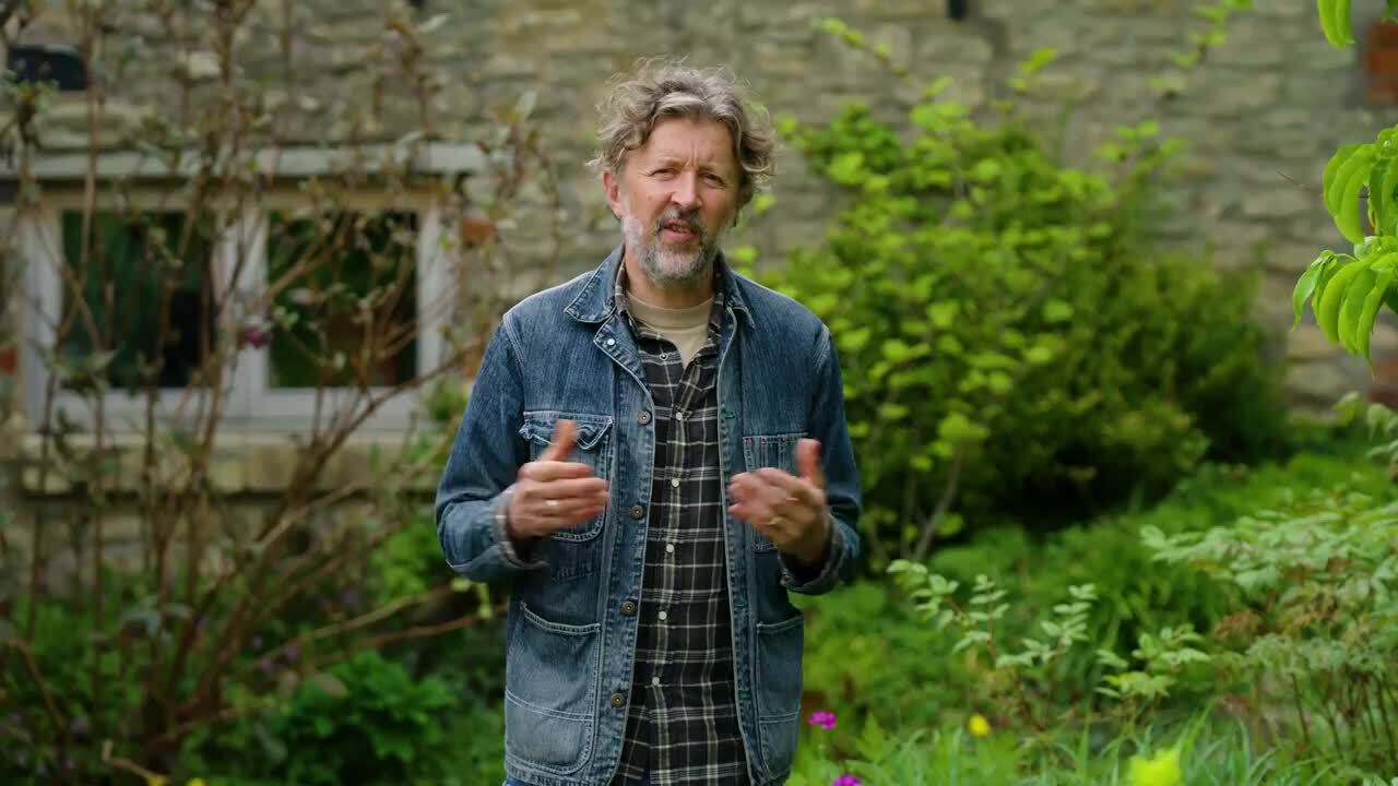 A layered planting system