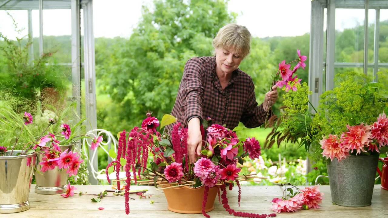 Arranging dahlias in a grid with amaranth, dill and panicum sparking fountain
