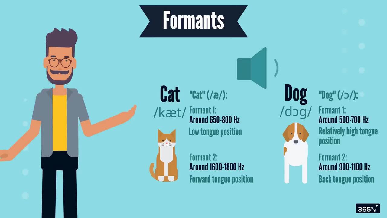 How It All Started: Formants, Harmonics, and Phonemes