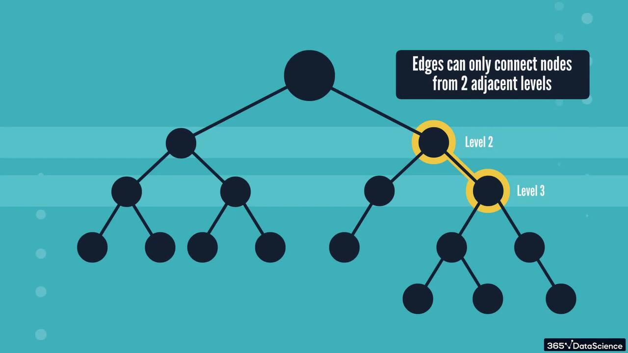 What Is a Tree in Computer Science?