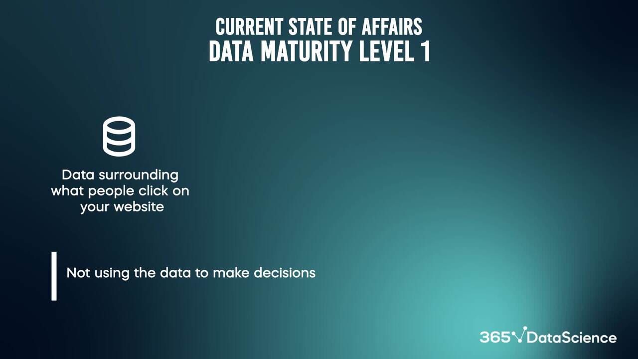 Data maturity Level 1