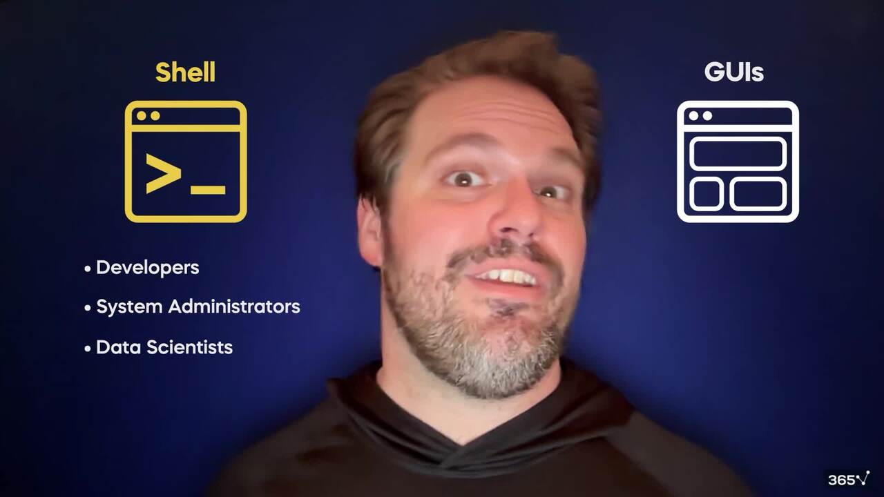 What is the Shell?