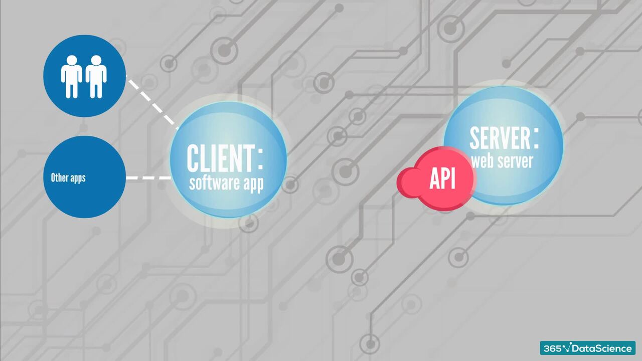 Properties and Definitions: Data Connectivity, APIs, and Endpoint