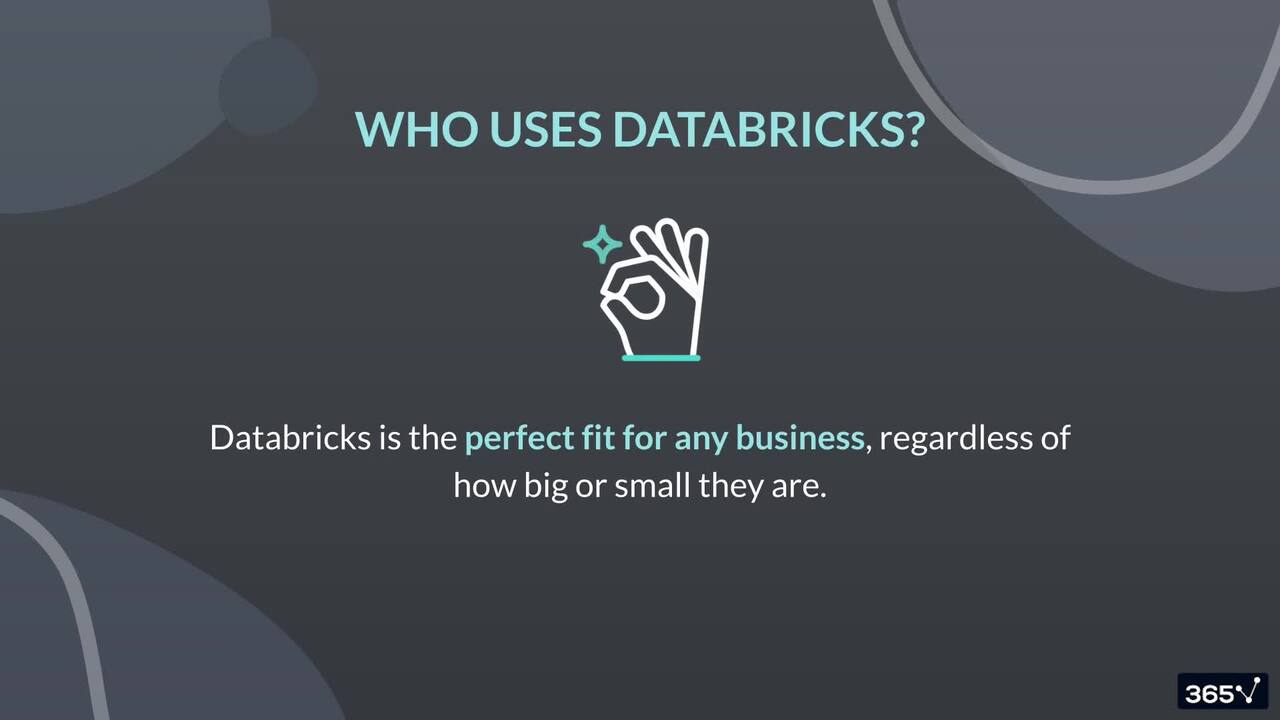 What is Databricks used for?