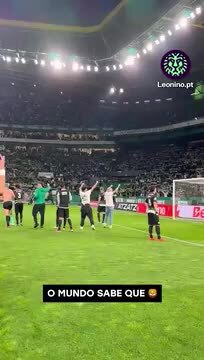 Adeptos do Sporting em comunhão com a equipa! 'O Mundo Sabe Que' em Alvalade