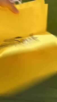 Confira o momento em que um fã invadiu o centro de treinos do Al Nassr de Cristiano Ronaldo