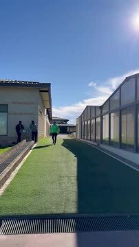 Rui Borges orienta primeiro treino no Sporting