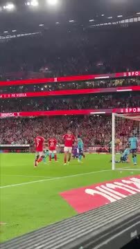 Recorde o golaço de Tiago Gouveia ao serviço do Benfica