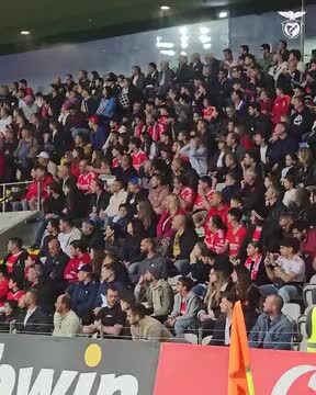 Adeptos apoiam Benfica na vitória diante do Nacional