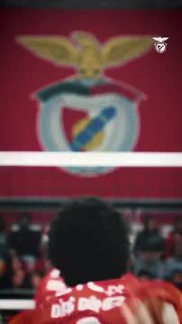 Voleibol do Benfica 'aquece' para duelo decisivo com Sporting