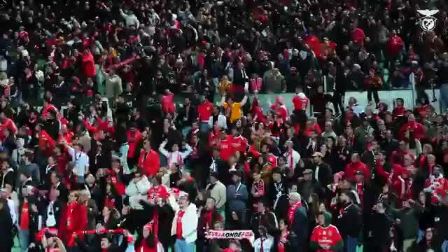 Adeptos do Benfica fazem a festa na casa do Rio Ave