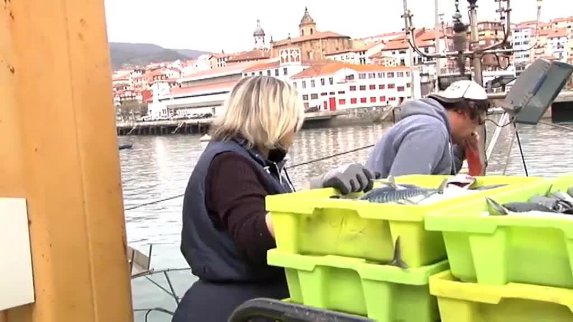 Los pescadores vuelven a faenar