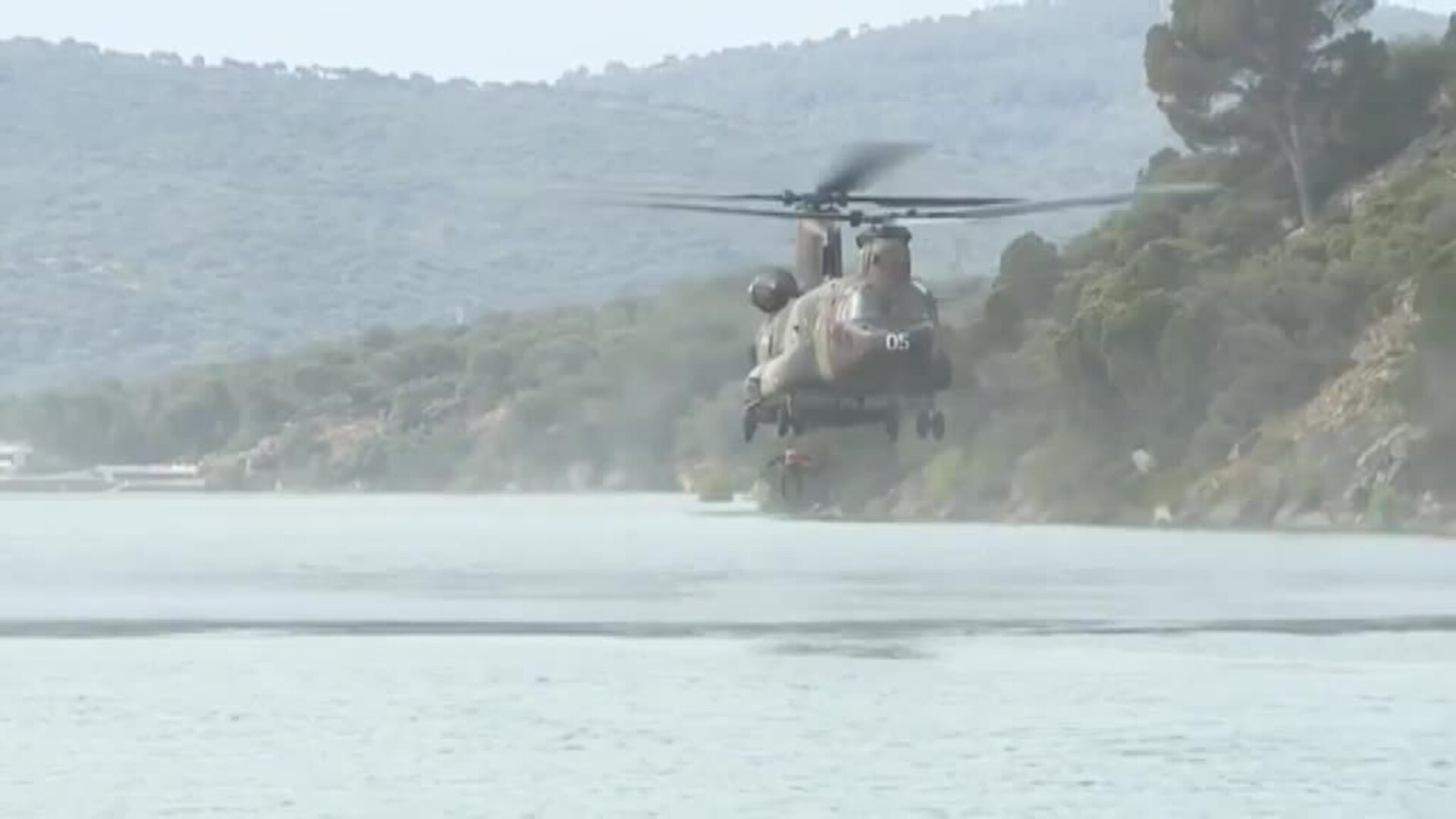 Un perro policía encuentra más de dos kilos de cocaína en Guipúzcoa