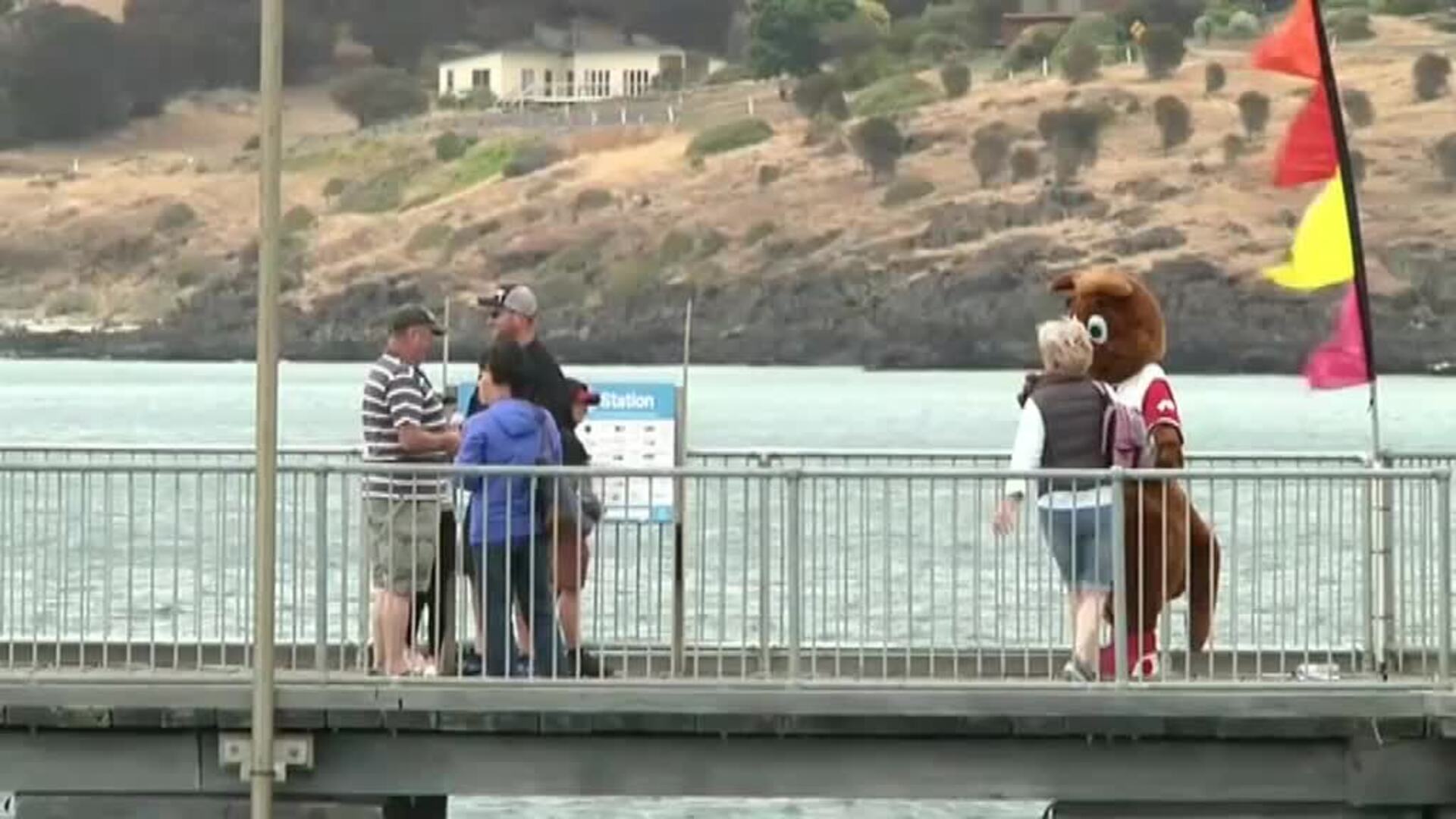 Se reanuda el turismo en la isla Canguro tras los incendios