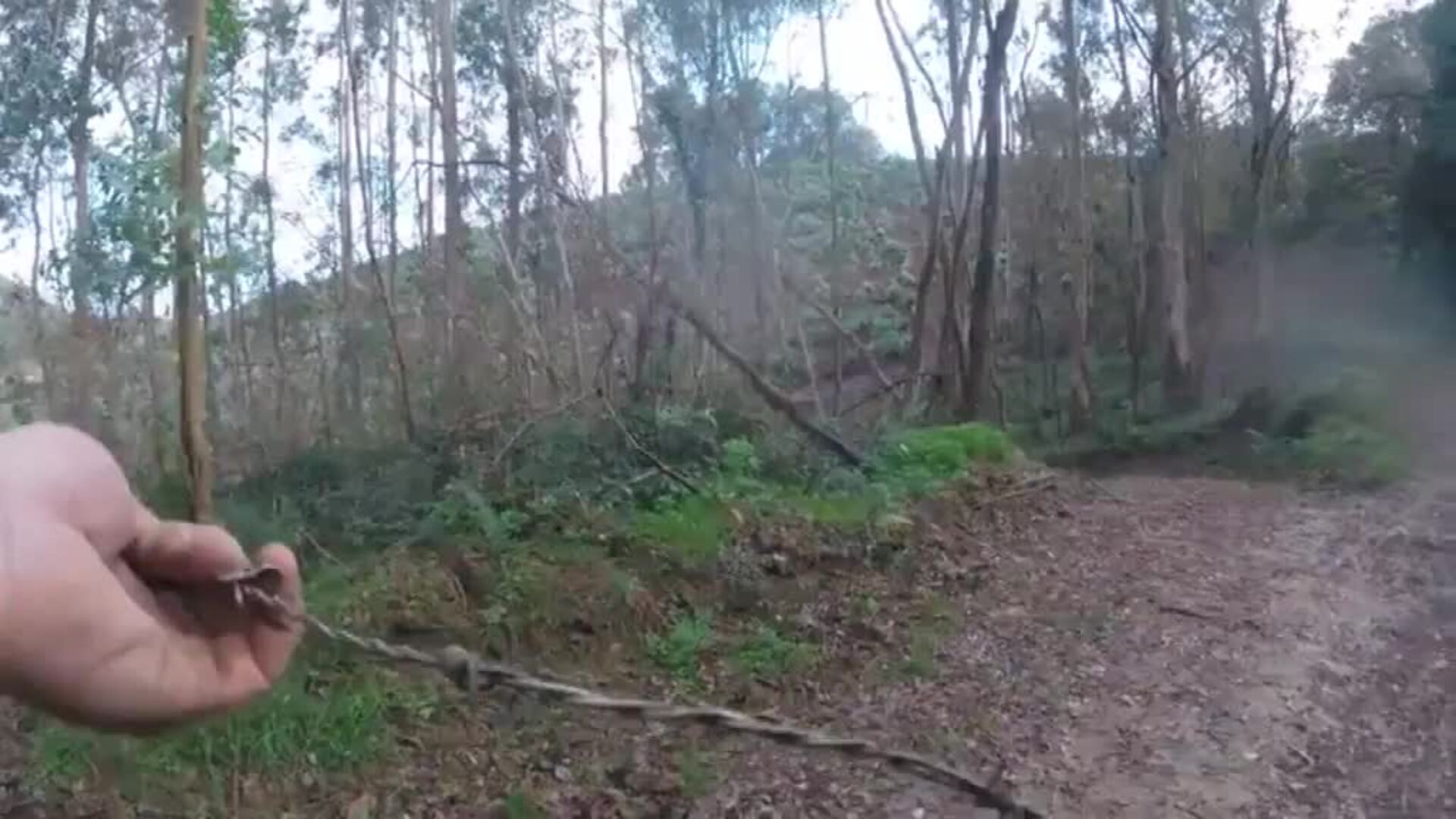 Ciclistas valencianos denuncian la aparición de peligrosas trampas en sendas forestales