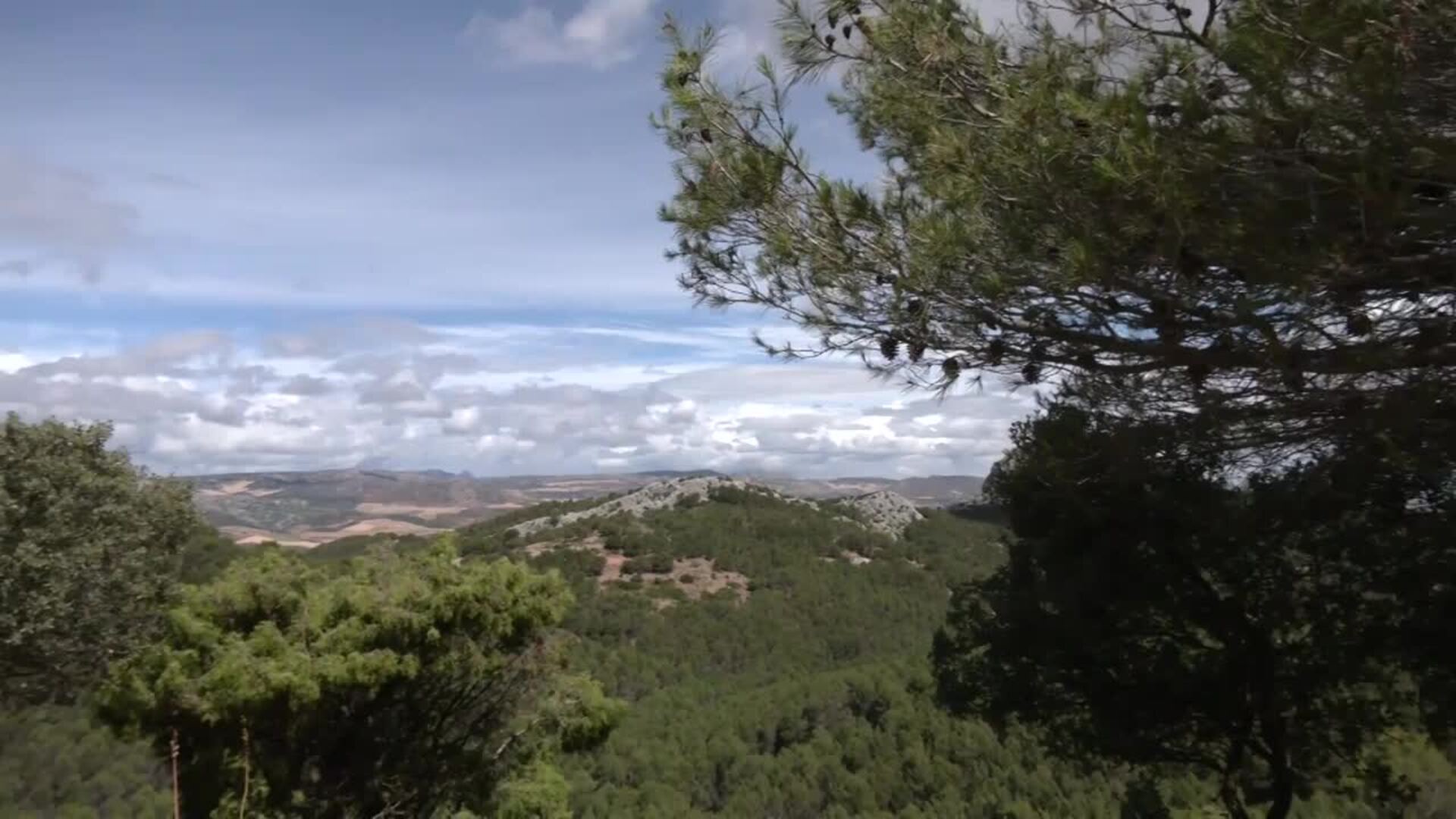 Crespo espera que Sierra de las Nieves, tercer Parque Nacional andaluz, atraiga a 500.000 visitantes