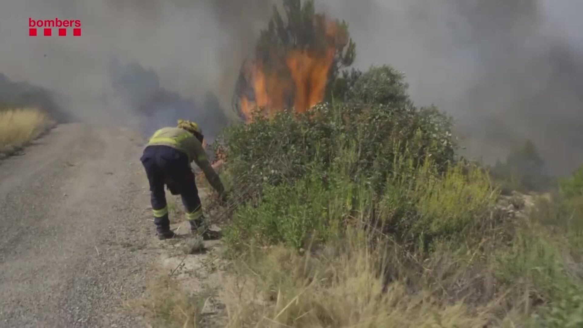Controlado el incendio de la Pobla de Massaluca tras quemar 63 hectáreas