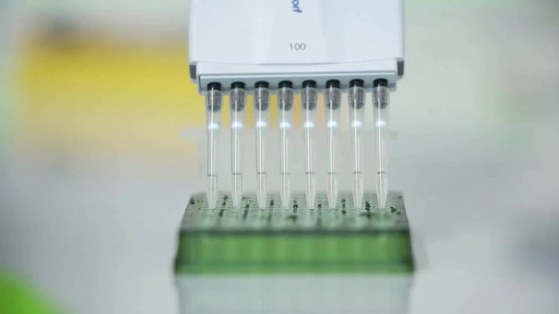 Boris Johnson confina Londres y el sureste del país ante una nueva cepa del virus