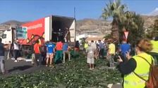 Agricultores granadinos arrojan miles de kilos de pepinos a la carretera en protesta por los bajos precios