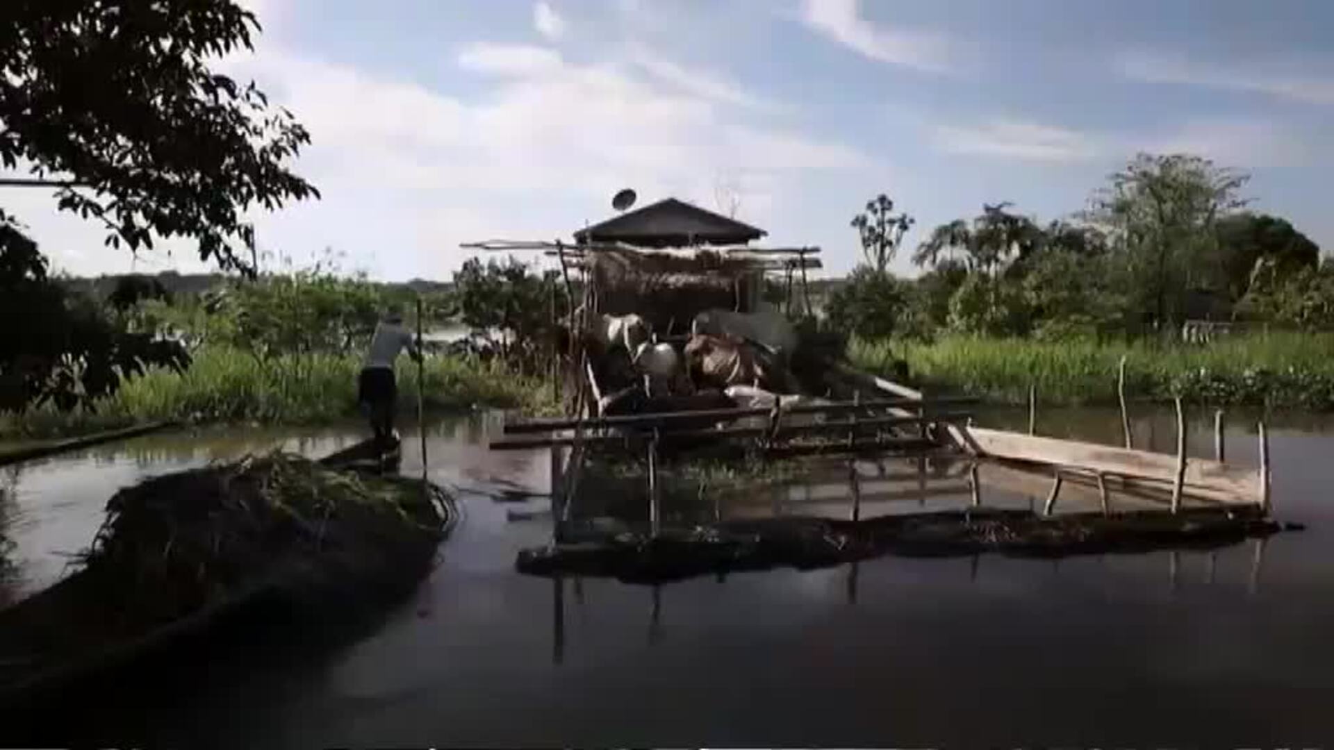 Casi medio millón de personas afectadas en la Amazonía brasileña por inundaciones