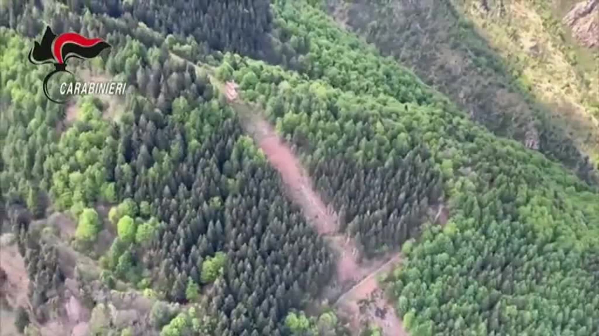 Fallecen 13 personas al desplomarse un teleférico en la localidad italiana de Stresa