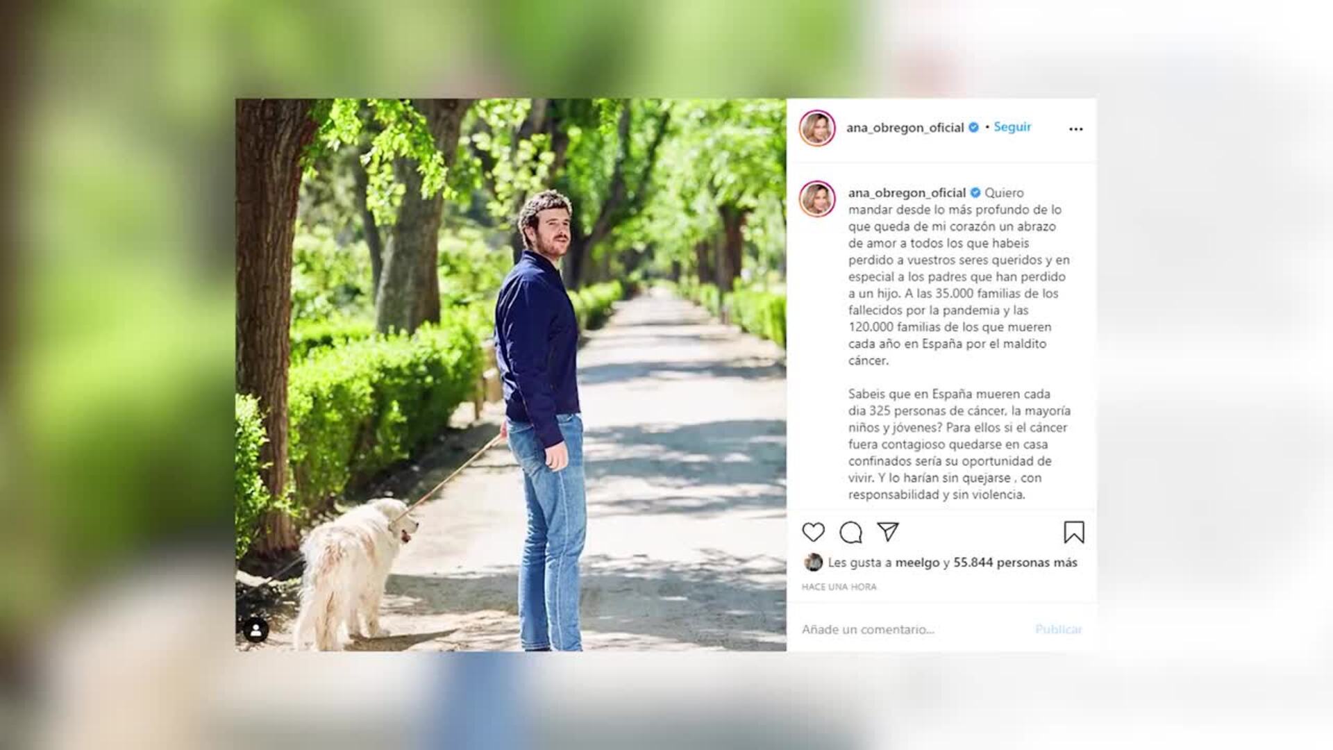 Ana Obregón, sumida en la tristeza el día de Todos los Santos, recuerda a su hijo Aless
