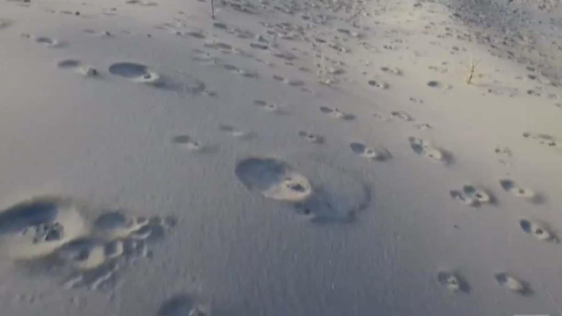 ¿Y cuándo el volcán se apague?