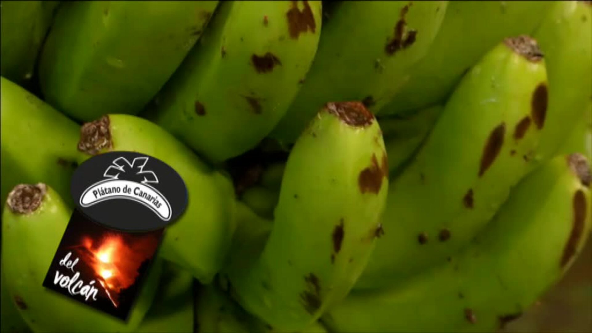 Los plátanos de La Palma llevarán una etiqueta para garantizar su calidad