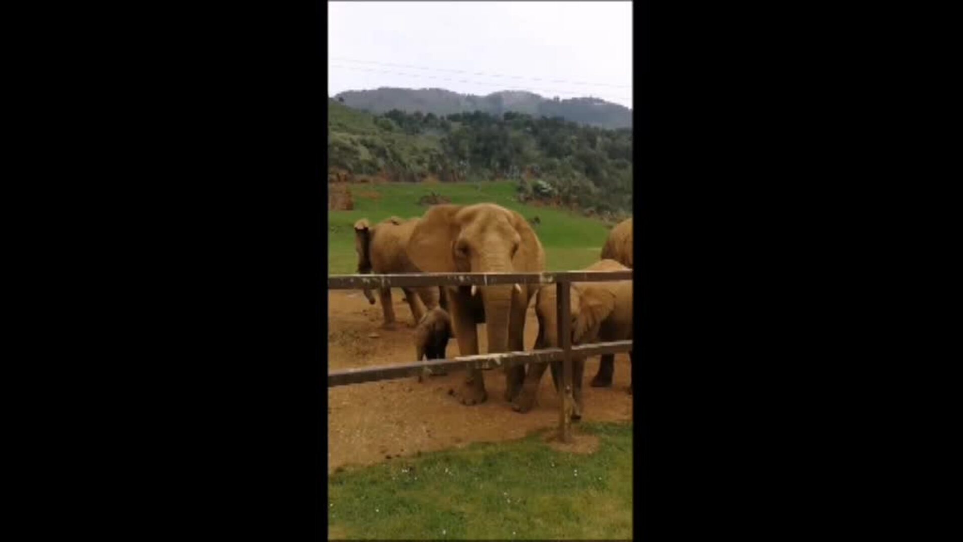 Visita virtual al Parque de la Naturaleza de Cabárceno