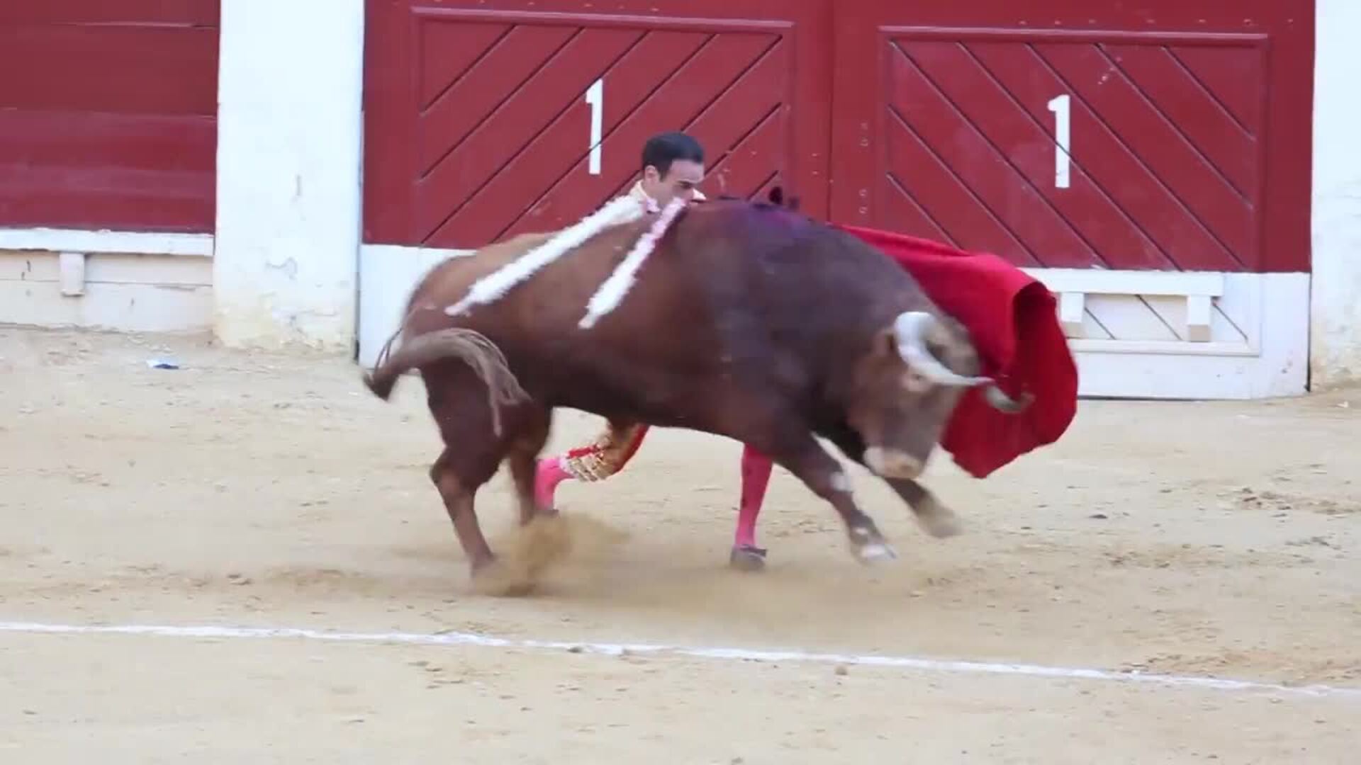 Enrique Ponce se retira de los ruedos por &quot;tiempo indefinido&quot;