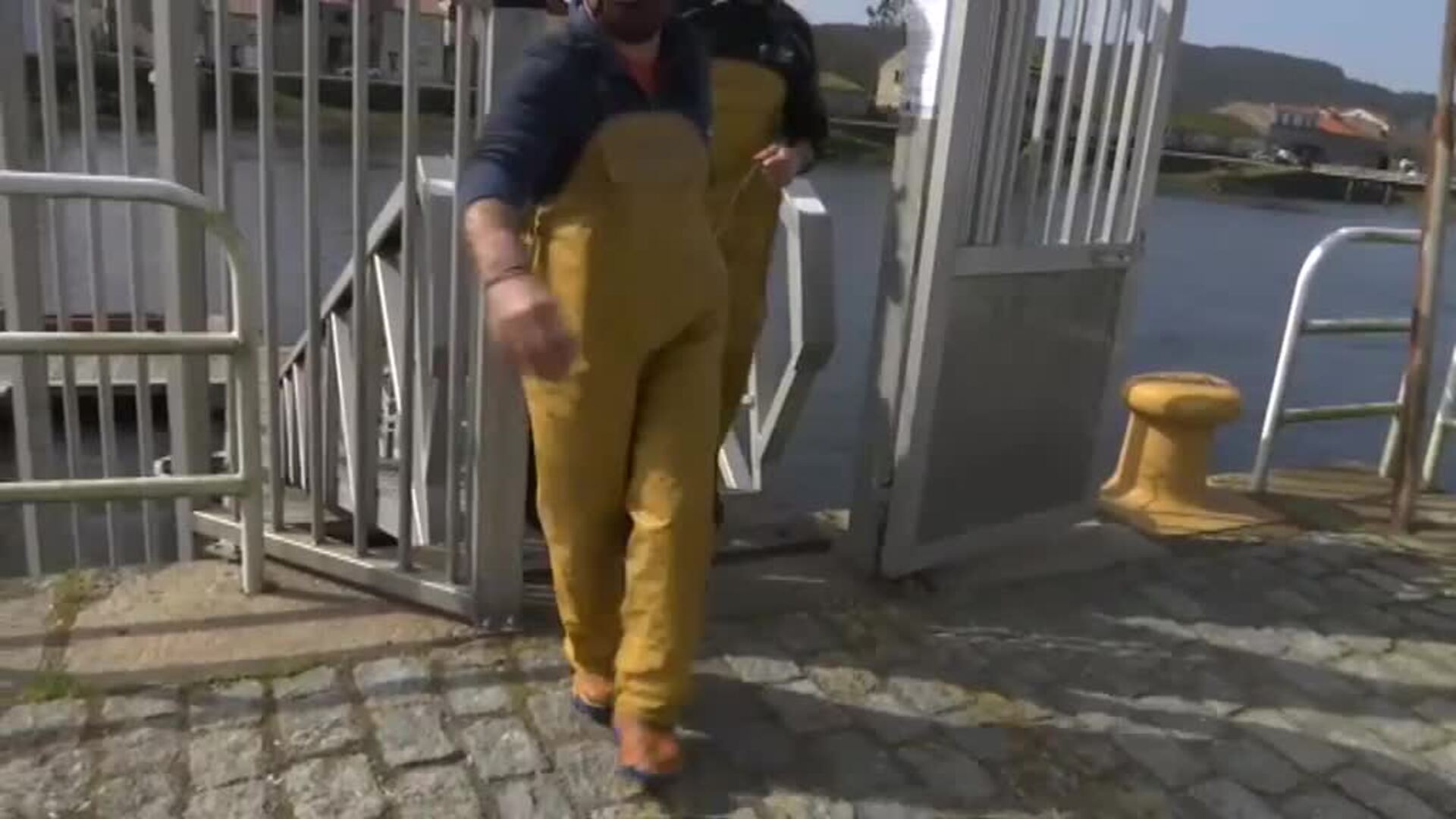 La lamprea, un manjar que despierta filias y fobias por igual