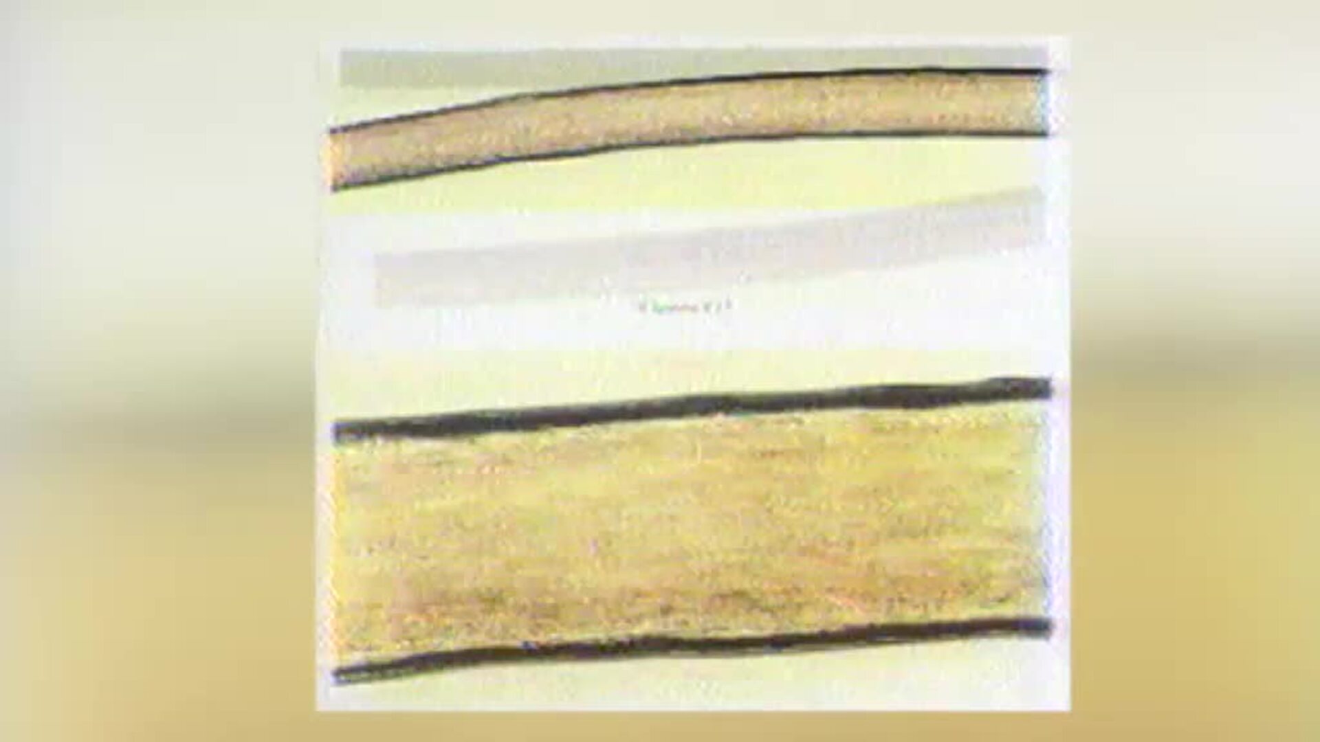 Inspeccionan el coche de Miguel Ricart con nuevas técnicas para aclarar el triple crimen de las niñas de Alcàsser