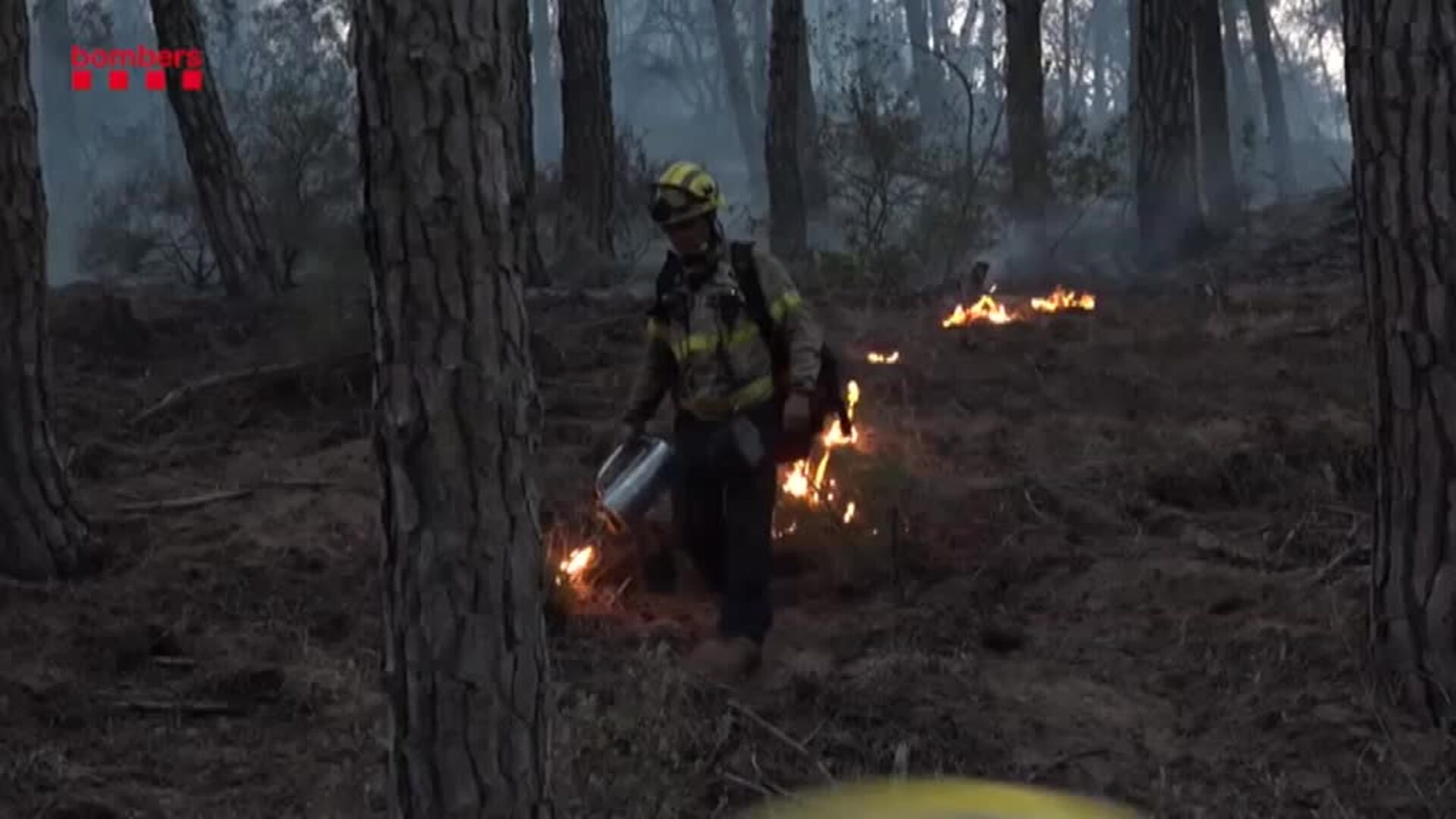 Estabilizado el incendio forestal de macizo de Montgrí (Girona)