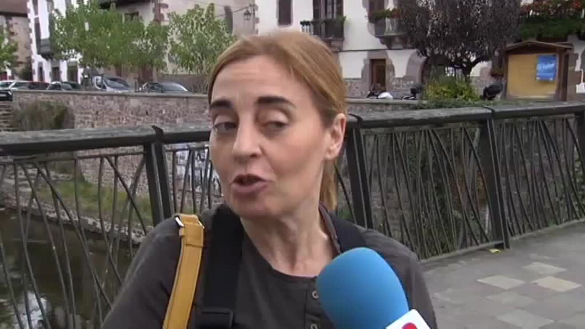 El valle del Baztán, reclamo turístico por las novelas de Dolores Redondo