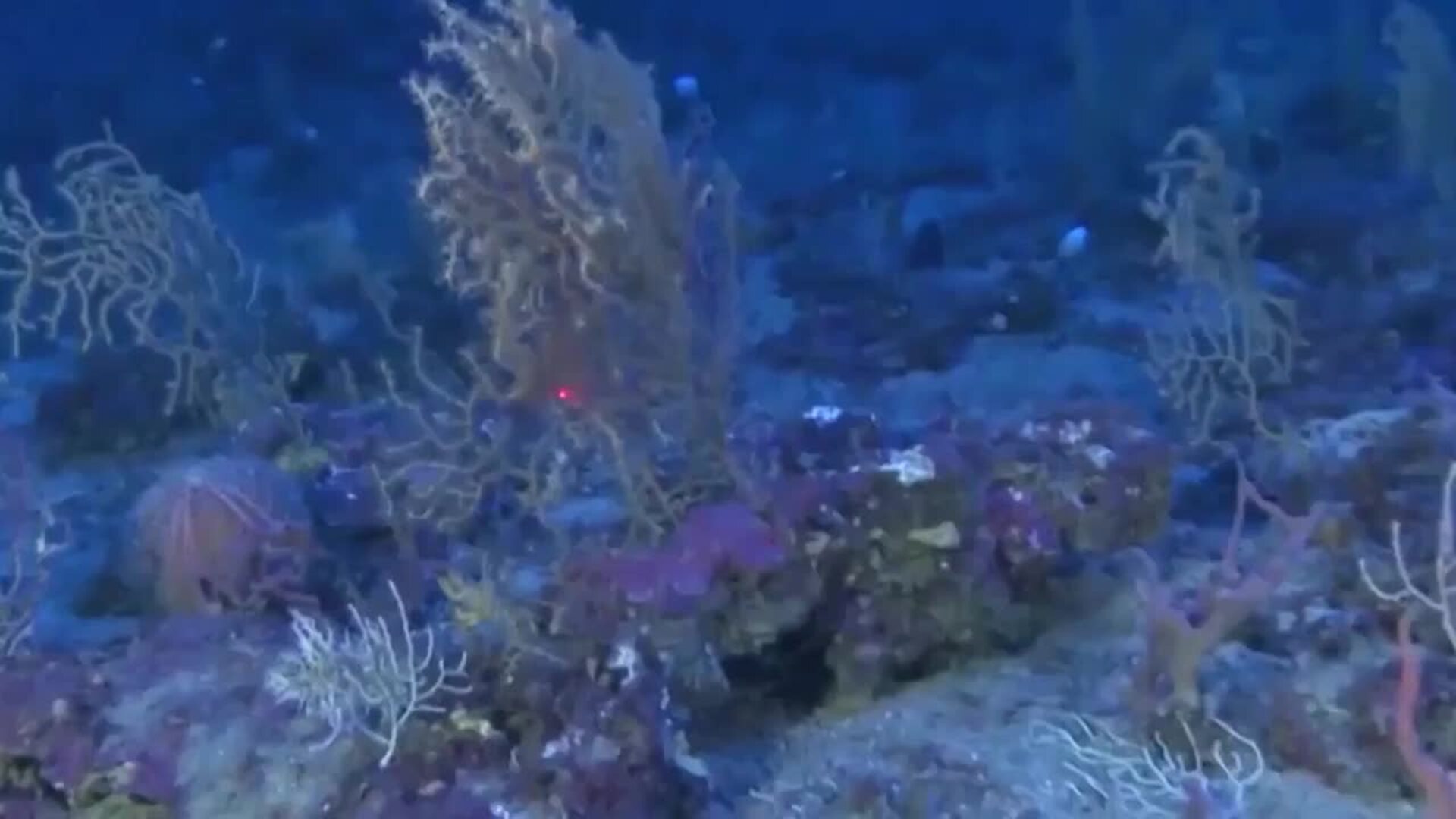 La llegada de la lava al mar obliga a mantener el confinamiento en cuatro barrios