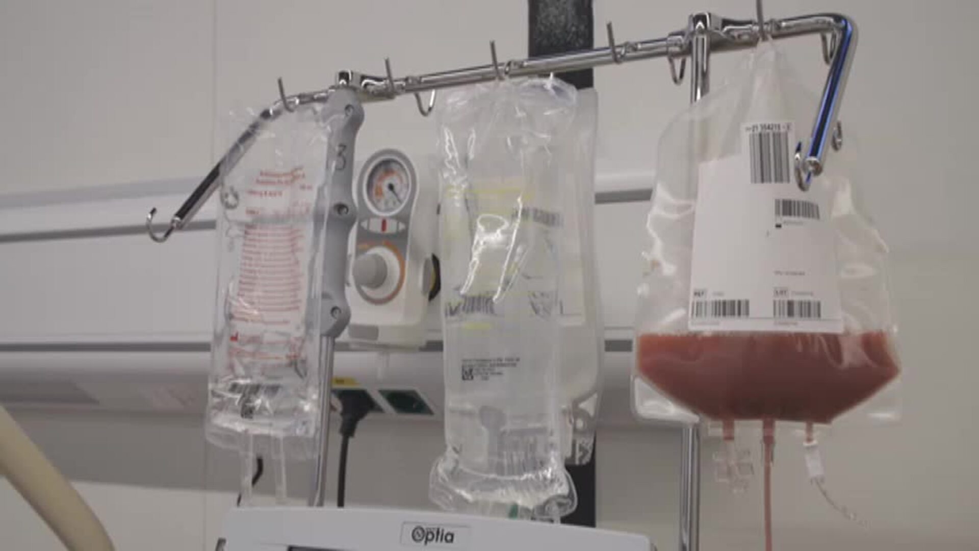 Las donaciones efectivas de médula ósea se han multiplicado por siete en España, en diez años