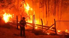 Al menos 22 muertos en un gigantesco incendio forestal en Chile por una ola de calor
