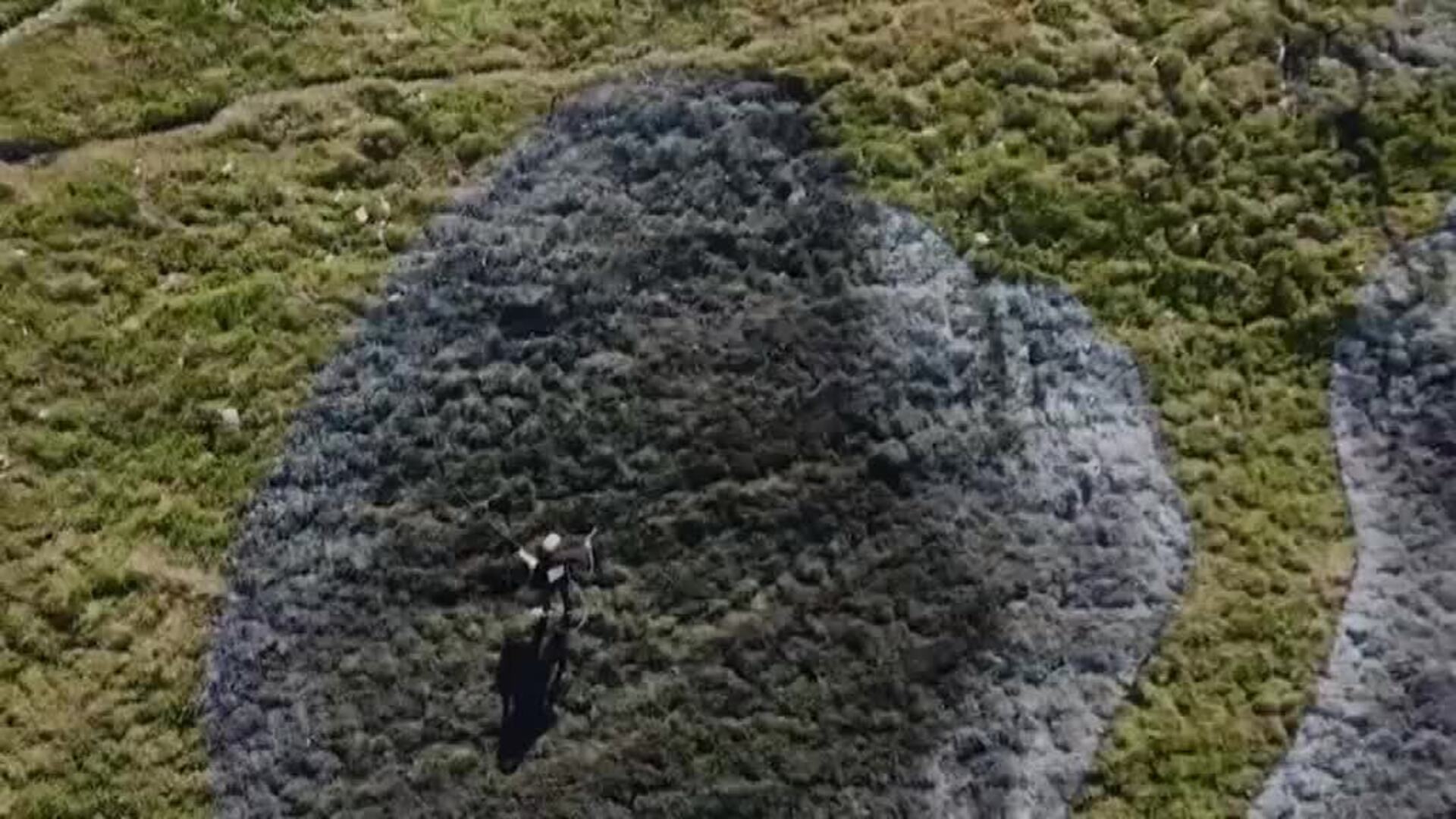 Saype decora los Alpes suizos