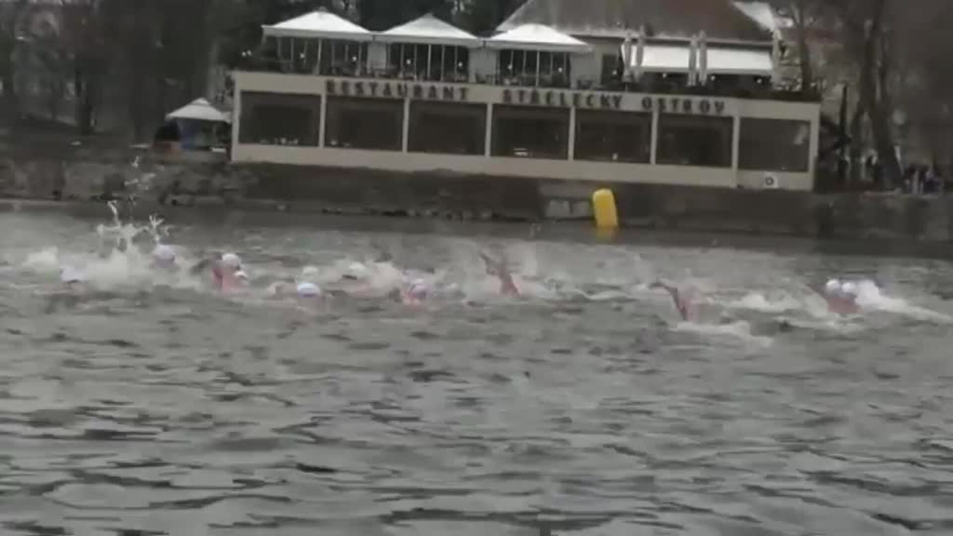 Cientos de nadadores desafían las gélidas aguas del río Moldava en Praga