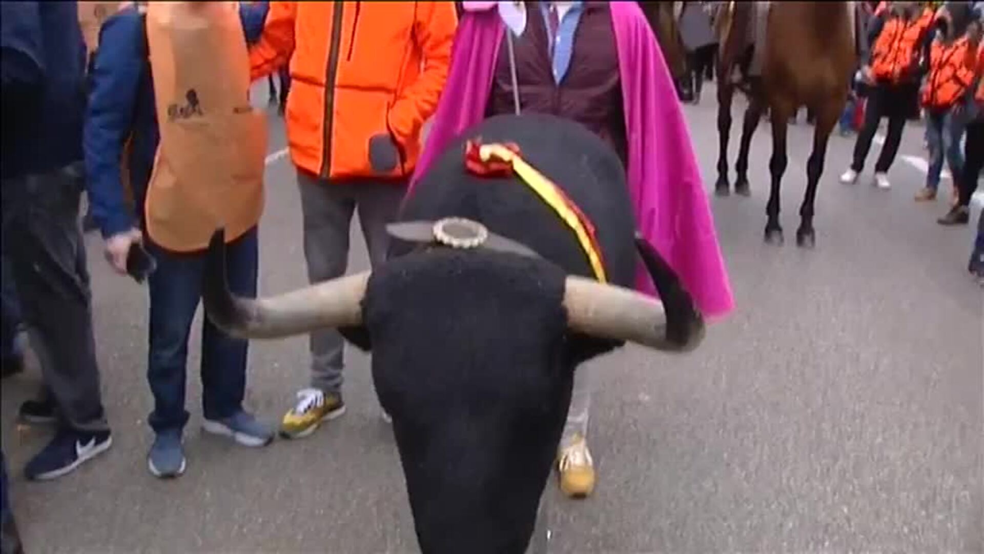 Protesta multitudinaria del mundo rural para pedir medidas urgentes contra la actual crisis