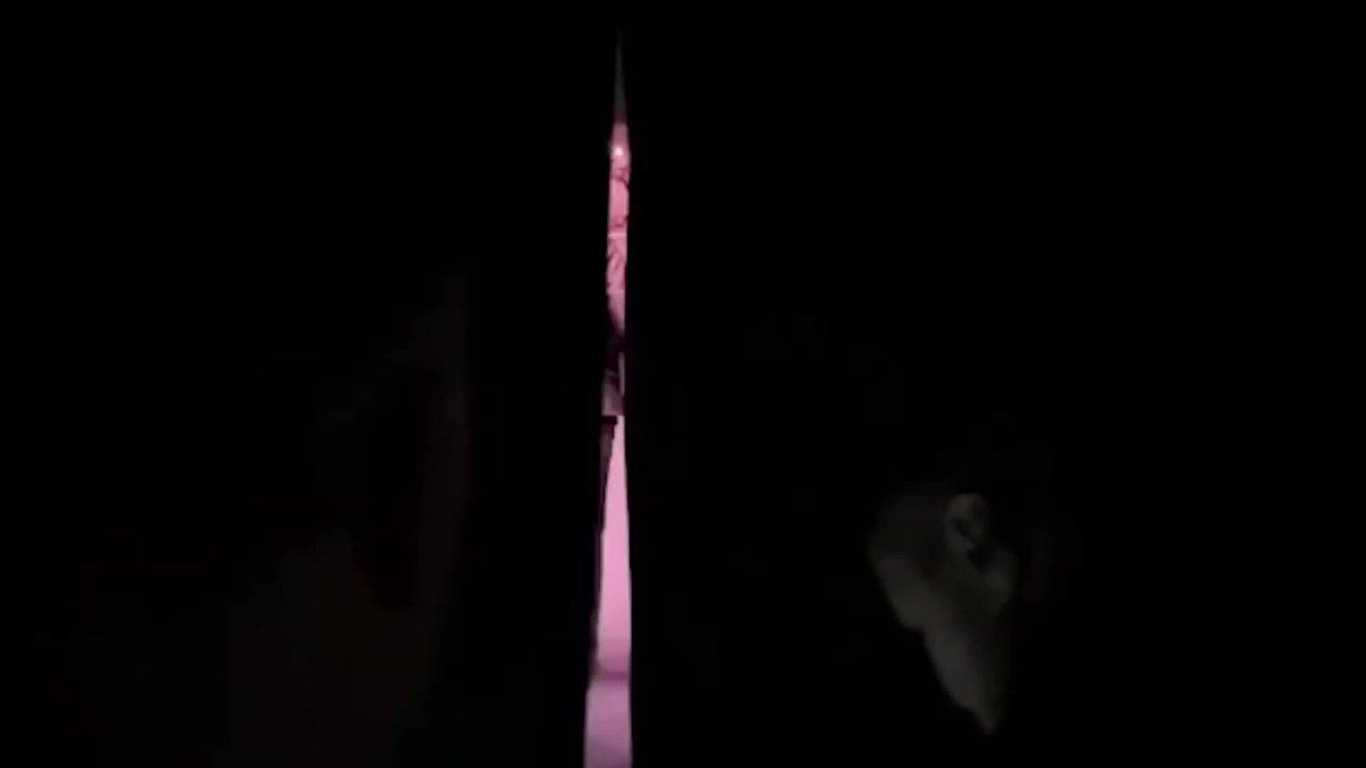 Olivia Newton-John y John Travolta vuelven a vestirse de &#039;Grease&#039;