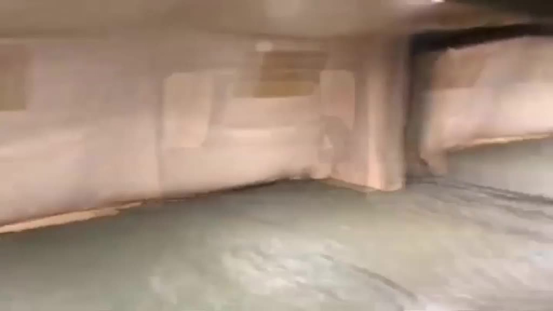 Las Fuerzas Armadas continúan con las labores de apoyo y desinfección